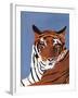 Colorful Tiger-Pamela Munger-Framed Art Print