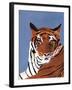 Colorful Tiger-Pamela Munger-Framed Art Print