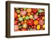 Colorful Tomatoes-Shebeko-Framed Photographic Print