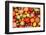 Colorful Tomatoes-Shebeko-Framed Photographic Print