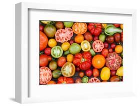 Colorful Tomatoes-Shebeko-Framed Photographic Print