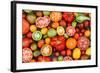 Colorful Tomatoes-Shebeko-Framed Photographic Print