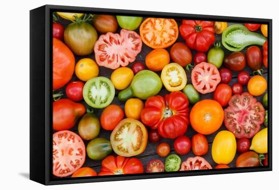 Colorful Tomatoes-Shebeko-Framed Stretched Canvas