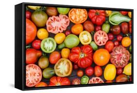 Colorful Tomatoes-Shebeko-Framed Stretched Canvas