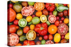 Colorful Tomatoes-Shebeko-Stretched Canvas
