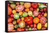 Colorful Tomatoes-Shebeko-Framed Stretched Canvas