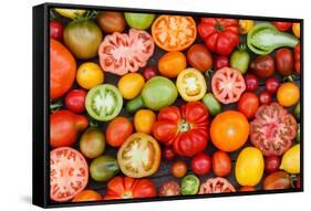 Colorful Tomatoes-Shebeko-Framed Stretched Canvas