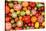 Colorful Tomatoes-Shebeko-Stretched Canvas