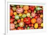 Colorful Tomatoes-Shebeko-Framed Photographic Print