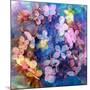 Colorful Translucent Layer Work from Orchid and Hydrangea-Alaya Gadeh-Mounted Photographic Print