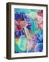 Colorful Translucent Layer Work from Orchid and Zinnia-Alaya Gadeh-Framed Photographic Print