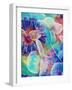 Colorful Translucent Layer Work from Orchid and Zinnia-Alaya Gadeh-Framed Photographic Print