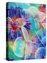 Colorful Translucent Layer Work from Orchid and Zinnia-Alaya Gadeh-Stretched Canvas