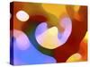 Colorful Tree of Light-Amy Vangsgard-Stretched Canvas