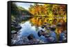 Colorful Trees Along the Swift River New Hampshire-George Oze-Framed Stretched Canvas