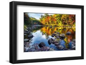 Colorful Trees Along the Swift River New Hampshire-George Oze-Framed Photographic Print