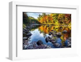 Colorful Trees Along the Swift River New Hampshire-George Oze-Framed Photographic Print