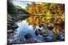 Colorful Trees Along the Swift River New Hampshire-George Oze-Mounted Photographic Print