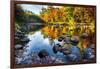 Colorful Trees Along the Swift River New Hampshire-George Oze-Framed Photographic Print