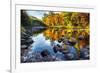 Colorful Trees Along the Swift River New Hampshire-George Oze-Framed Photographic Print