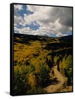 Colorful Trees in Fall, Boulder-Michael Brown-Framed Stretched Canvas