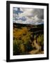 Colorful Trees in Fall, Boulder-Michael Brown-Framed Premium Photographic Print