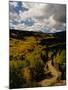 Colorful Trees in Fall, Boulder-Michael Brown-Mounted Premium Photographic Print