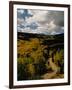 Colorful Trees in Fall, Boulder-Michael Brown-Framed Premium Photographic Print