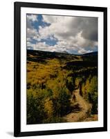 Colorful Trees in Fall, Boulder-Michael Brown-Framed Premium Photographic Print