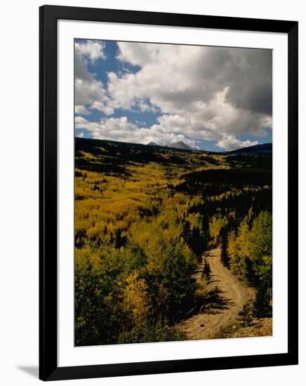 Colorful Trees in Fall, Boulder-Michael Brown-Framed Premium Photographic Print