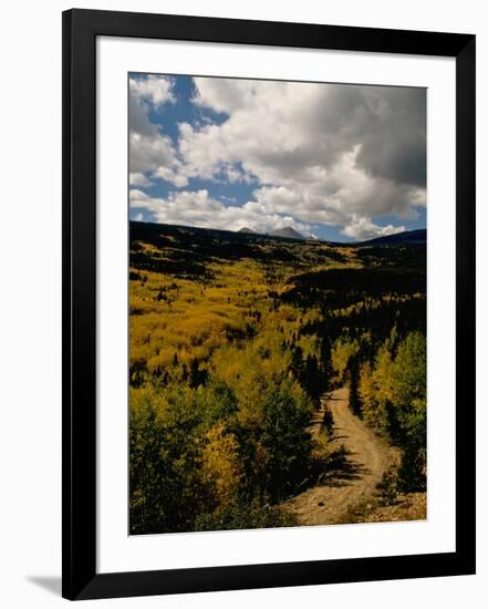 Colorful Trees in Fall, Boulder-Michael Brown-Framed Photographic Print