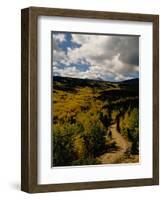 Colorful Trees in Fall, Boulder-Michael Brown-Framed Photographic Print