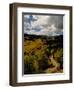 Colorful Trees in Fall, Boulder-Michael Brown-Framed Photographic Print