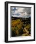 Colorful Trees in Fall, Boulder-Michael Brown-Framed Photographic Print