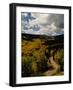 Colorful Trees in Fall, Boulder-Michael Brown-Framed Photographic Print