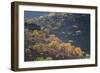 Colorful Trees in Torotoro National Park-Alex Saberi-Framed Photographic Print