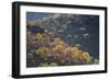 Colorful Trees in Torotoro National Park-Alex Saberi-Framed Photographic Print