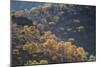 Colorful Trees in Torotoro National Park-Alex Saberi-Mounted Photographic Print