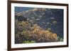 Colorful Trees in Torotoro National Park-Alex Saberi-Framed Photographic Print