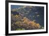 Colorful Trees in Torotoro National Park-Alex Saberi-Framed Photographic Print