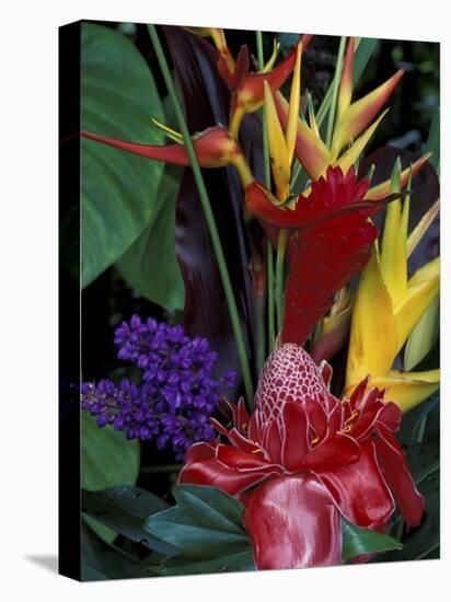 Colorful Tropical Flowers, Hawaii, USA-Merrill Images-Stretched Canvas