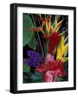 Colorful Tropical Flowers, Hawaii, USA-Merrill Images-Framed Photographic Print