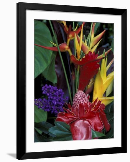 Colorful Tropical Flowers, Hawaii, USA-Merrill Images-Framed Photographic Print