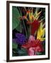 Colorful Tropical Flowers, Hawaii, USA-Merrill Images-Framed Photographic Print