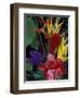 Colorful Tropical Flowers, Hawaii, USA-Merrill Images-Framed Photographic Print