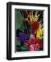 Colorful Tropical Flowers, Hawaii, USA-Merrill Images-Framed Photographic Print