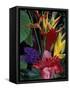 Colorful Tropical Flowers, Hawaii, USA-Merrill Images-Framed Stretched Canvas