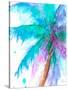 Colorful Tropics I-Patricia Pinto-Stretched Canvas