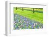 Colorful Tulips and Hyacinths on A Garden Floor-ptnphoto-Framed Photographic Print