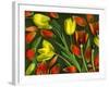 Colorful Tulips Isolated Against Green Background-Christian Slanec-Framed Photographic Print